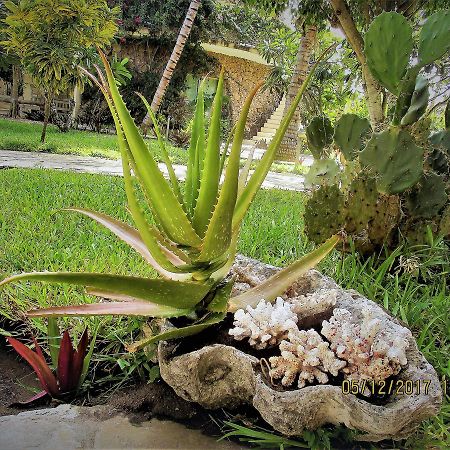 Fortamu Lady D House Watamu Exterior foto